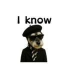Dandy Schnauzer（個別スタンプ：10）