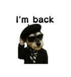 Dandy Schnauzer（個別スタンプ：16）