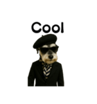Dandy Schnauzer（個別スタンプ：24）