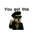 Dandy Schnauzer（個別スタンプ：26）