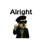 Dandy Schnauzer（個別スタンプ：29）