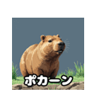 40変化！ごきげんカピバラの感情祭（個別スタンプ：5）