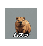 40変化！ごきげんカピバラの感情祭（個別スタンプ：6）