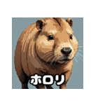 40変化！ごきげんカピバラの感情祭（個別スタンプ：13）