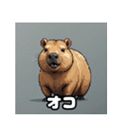 40変化！ごきげんカピバラの感情祭（個別スタンプ：16）