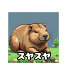 40変化！ごきげんカピバラの感情祭（個別スタンプ：19）