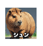 40変化！ごきげんカピバラの感情祭（個別スタンプ：32）