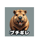 40変化！ごきげんカピバラの感情祭（個別スタンプ：33）