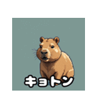 40変化！ごきげんカピバラの感情祭（個別スタンプ：37）