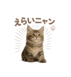 子ネコverメインクーン（個別スタンプ：20）