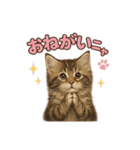 子ネコverメインクーン（個別スタンプ：27）