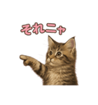 子ネコverメインクーン（個別スタンプ：29）