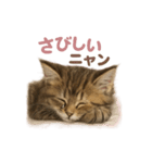 子ネコverメインクーン（個別スタンプ：30）