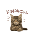 子ネコverメインクーン（個別スタンプ：37）