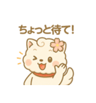 もちこまちゃん・季節と気持ちのスタンプ（個別スタンプ：30）