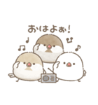 ずっと使える関西弁＊文鳥さん。（個別スタンプ：1）
