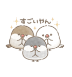 ずっと使える関西弁＊文鳥さん。（個別スタンプ：5）