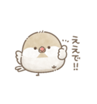 ずっと使える関西弁＊文鳥さん。（個別スタンプ：6）