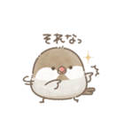 ずっと使える関西弁＊文鳥さん。（個別スタンプ：9）