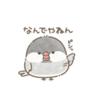 ずっと使える関西弁＊文鳥さん。（個別スタンプ：13）