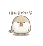 ずっと使える関西弁＊文鳥さん。（個別スタンプ：15）