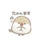 ずっと使える関西弁＊文鳥さん。（個別スタンプ：22）
