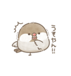 ずっと使える関西弁＊文鳥さん。（個別スタンプ：25）