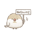ずっと使える関西弁＊文鳥さん。（個別スタンプ：37）