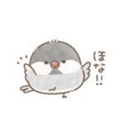 ずっと使える関西弁＊文鳥さん。（個別スタンプ：40）