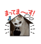HARORIスタンプ①（個別スタンプ：8）