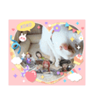 HARORIスタンプ①（個別スタンプ：10）