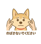 伸びるハニスタンプ（個別スタンプ：5）
