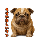 キモブサカワ6(ブルドッグ)（個別スタンプ：1）