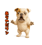 キモブサカワ6(ブルドッグ)（個別スタンプ：5）