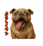 キモブサカワ6(ブルドッグ)（個別スタンプ：7）