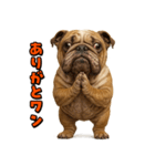 キモブサカワ6(ブルドッグ)（個別スタンプ：9）