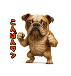 キモブサカワ6(ブルドッグ)（個別スタンプ：11）
