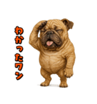 キモブサカワ6(ブルドッグ)（個別スタンプ：16）