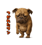 キモブサカワ6(ブルドッグ)（個別スタンプ：17）