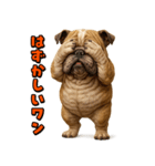 キモブサカワ6(ブルドッグ)（個別スタンプ：22）