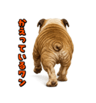 キモブサカワ6(ブルドッグ)（個別スタンプ：27）