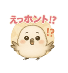 シマエナガの毎日便り⭐︎Part.1（個別スタンプ：5）