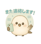 シマエナガの毎日便り⭐︎Part.1（個別スタンプ：17）