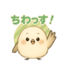 シマエナガの毎日便り⭐︎Part.1（個別スタンプ：28）