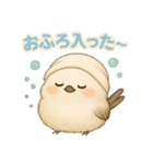 シマエナガの毎日便り⭐︎Part.1（個別スタンプ：40）