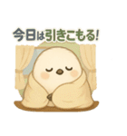 シマエナガの毎日便り⭐︎Part.2（個別スタンプ：1）