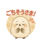 シマエナガの毎日便り⭐︎Part.2（個別スタンプ：8）