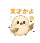 シマエナガの毎日便り⭐︎Part.2（個別スタンプ：13）