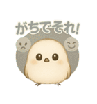 シマエナガの毎日便り⭐︎Part.2（個別スタンプ：23）