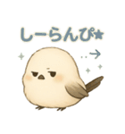シマエナガの毎日便り⭐︎Part.2（個別スタンプ：31）